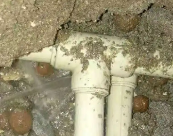 泰来测漏水多少钱