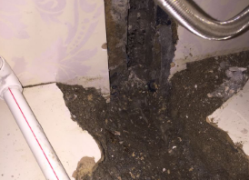 泰来卫生间测漏水哪家好