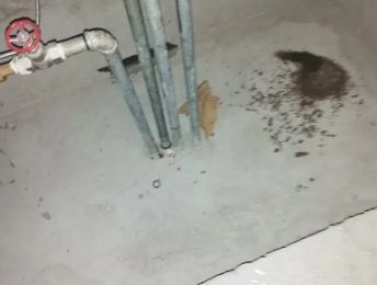 泰来卫生间测漏水价格明细